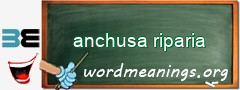 WordMeaning blackboard for anchusa riparia